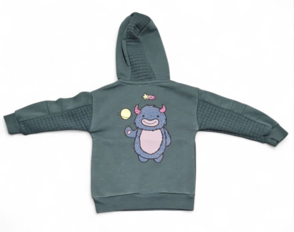 Sweat à capuche 12/18 mois