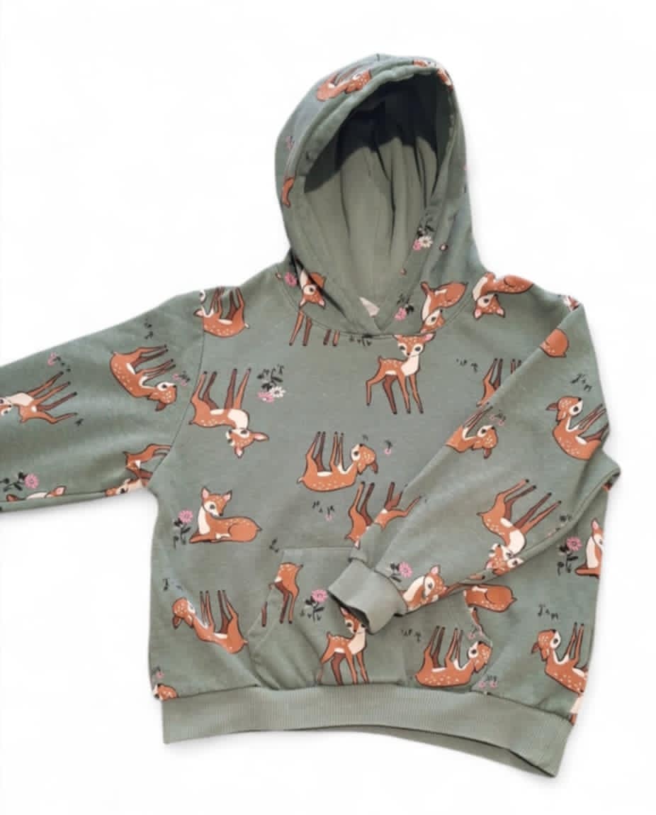 Pull à capuche 5 ans